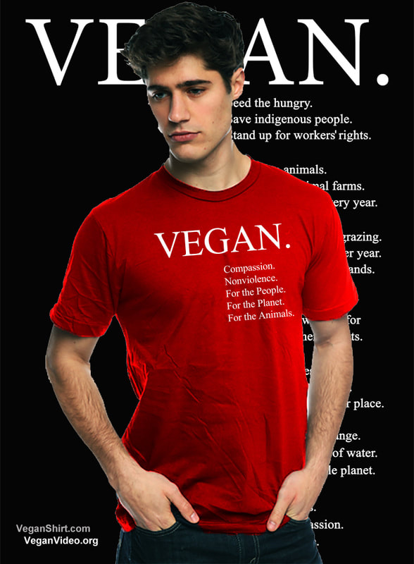 Vegan Shirt in Red